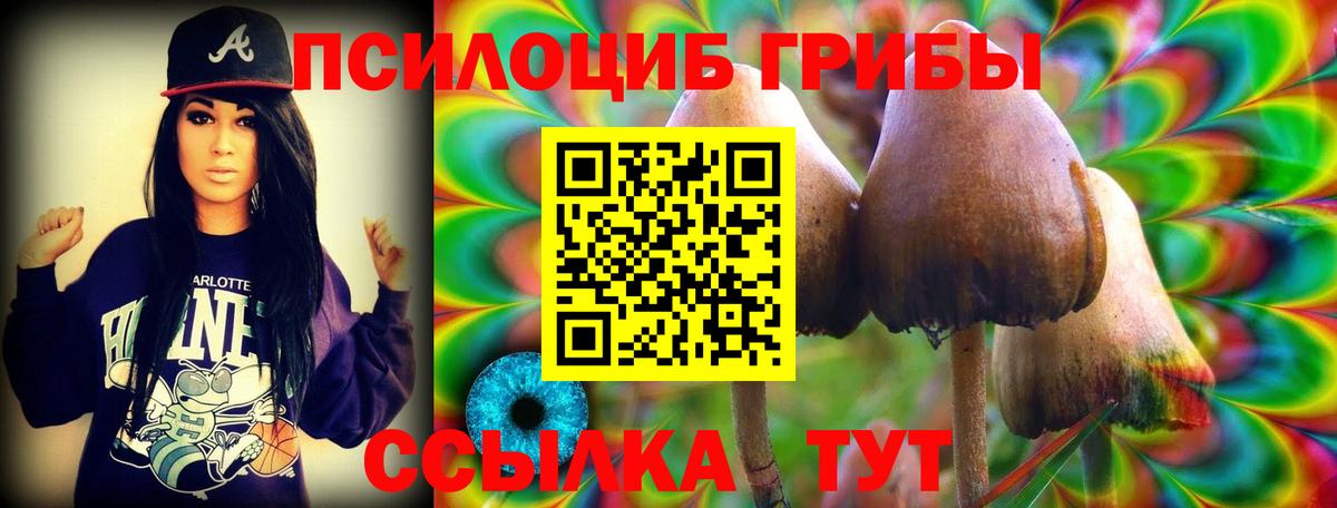 Галлюциногенные грибы Psilocybine cubensis Сыктывкар